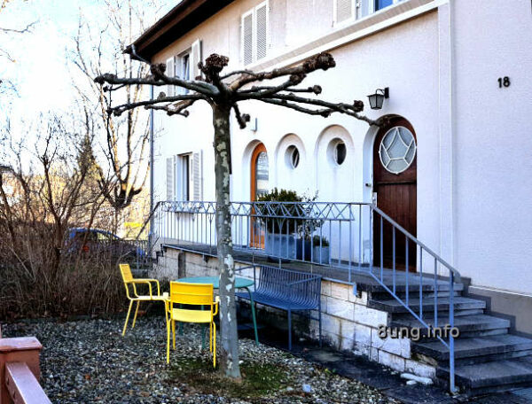 Wetter, Winter, Baum mit Sitzplatz