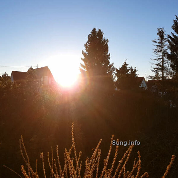 Sonne scheint durch die Bäume hindurch, Strahlen 