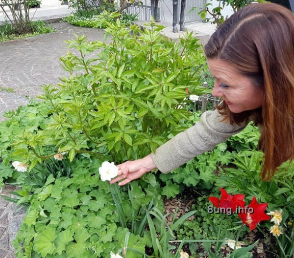 Eva schwecke in ihrem Rosengarten vor dem Hotel Hirsch