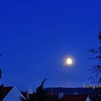 ☼ Vollmond im Juli 2022 – blauer Himmel, Sonne, Badewetter