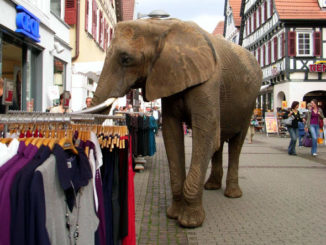Elefant in der Fußgängerzone vor einem Kleidderständer
