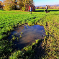 ☛ Wetter im November 2022 – oder etwa April?