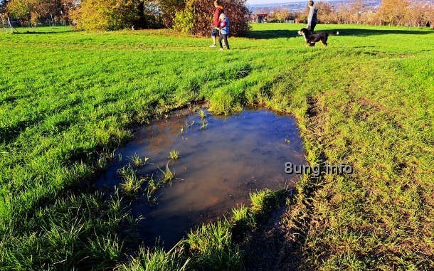 w.landschaft (21) Wetter im November, große Pfütze im Feld, Spaziergänger