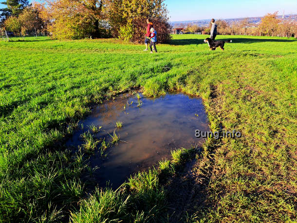 Wetter im November, große Pfütze im Feld, Spaziergänger