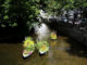 Wetterwunsch 2023: Blumenboote im Fluss