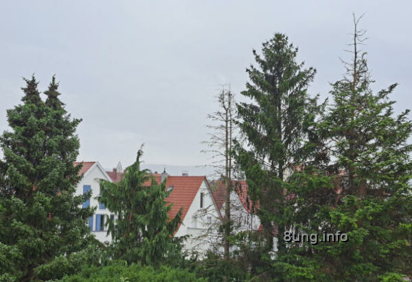 wetter im August 2023 - regen grau