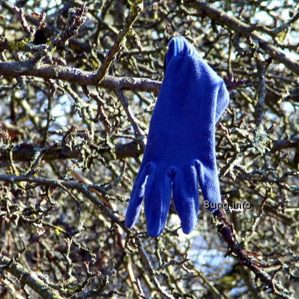 blauer Handschuh im kahlen Geäst