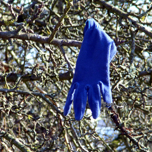 blauer Handschuh im kahlen Geäst