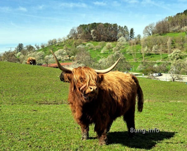 Wetterprognose April 2023: Urochse am Ostermontag