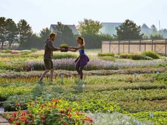 Junge Gärtnerinnen auf dem Feld