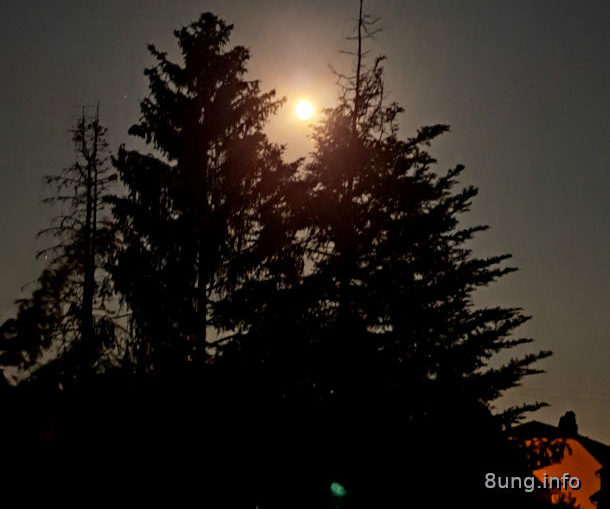 Wetter: Vollmond Juni 2023 - strahlend wie die Sonne | Kulturmagazin 8ung.info vollmond im Juni hinter Tannen