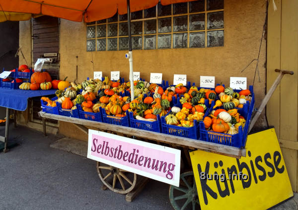 Kürbismärkte am Straßenrand: Verkauf ab Hof