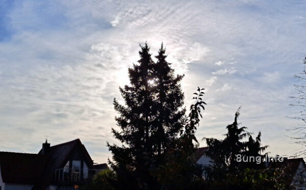 Wetter im November - Sonne hinter den Tannen - Wolken ziehen auf