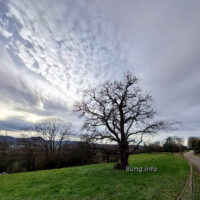 ☼ Wetterprognose Februar 2024 mittels der 12 Rauhnächte