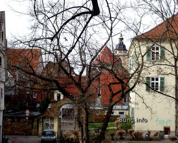 Blick durch kahle Baumäste auf das Panorama einer schwäbischen Kleinstadt