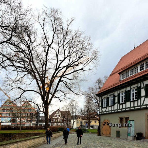 Wetterprognose 2024: Vorhersage mittels der 12 Raunächte - Baum mit einem gelben Kran, Baustelle und Fachwerkhäuser