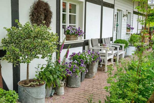 Mark Bolton: Ich träume von einem Cottage-Garten – verliebt in Rittersporn, Phlox und Fingerhut. (c) Callwey Verlag Lenes Landlust