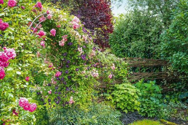 Mark Bolton: Ich träume von einem Cottage-Garten – verliebt in Rittersporn, Phlox und Fingerhut. (c) Callwey Verlag Unser Landgarten