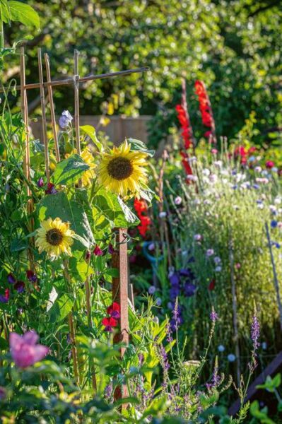 Mark Bolton: Ich träume von einem Cottage-Garten – verliebt in Rittersporn, Phlox und Fingerhut. (c) Callwey Verlag Karen Burgess