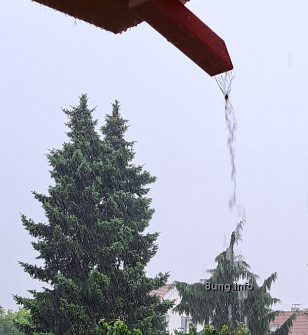Regen aus der Regenrinne und auf den Bäumen