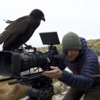 Tier-Filmtipps: „Jäger im Sturzflug“ und „Leben am Limit“