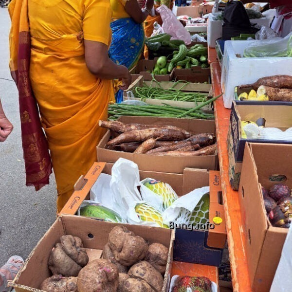 Hinduistisches Tempelfest in Kirchheim unter Teck: Heimisches Obst und Gemüse