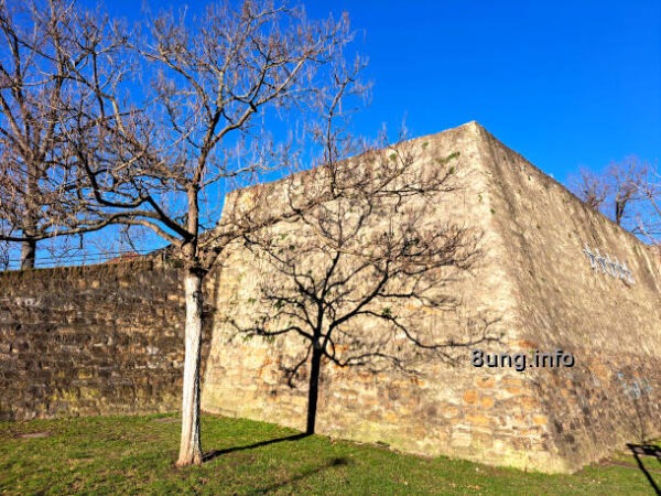 Baum wirft seinen Schatten vor der Bastion in Kirchheim unter Teck