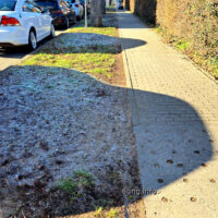 ☼ Wetterprognose Mai 2025 mittels der 12 Rauhnächte