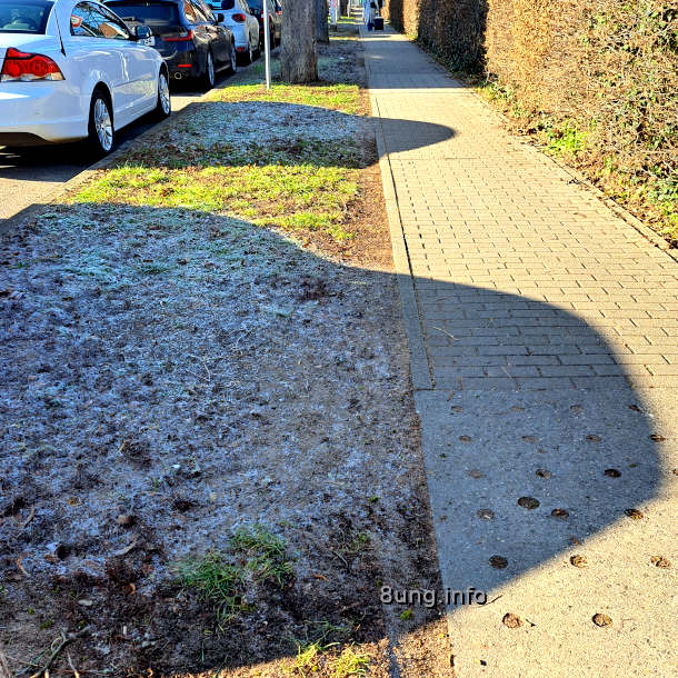 In der Sonne schmilzt das Eis, im Schatten bleibt Raureif bestehen