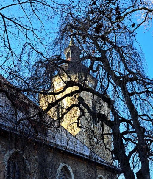 Kirchturm in der Sonne, Baum und Kirchenschiff im Schatten
