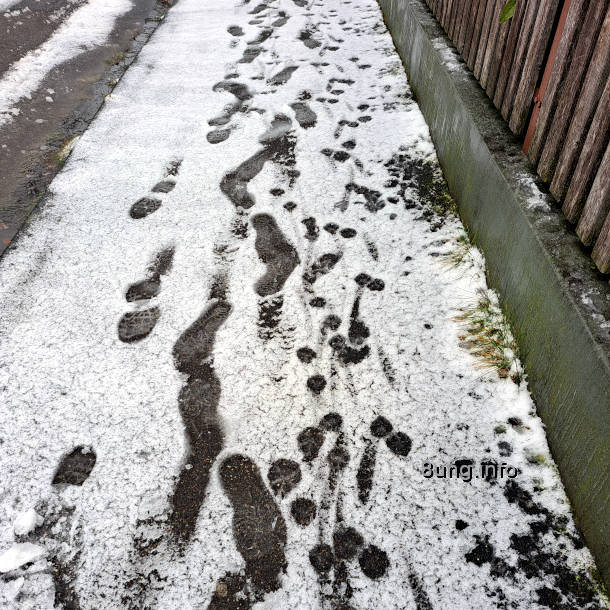 Fußspuren im Schnee
