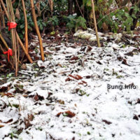 ☼ Wetterprognose Oktober 2025 mittels der 12 Rauhnächte