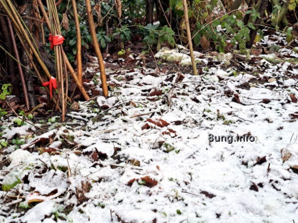 Der 1. Schnee
