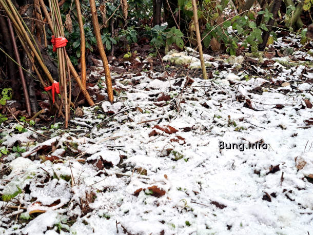 Der 1. Schnee