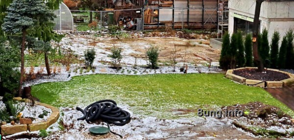 Garten mit 1 cm Schnee
