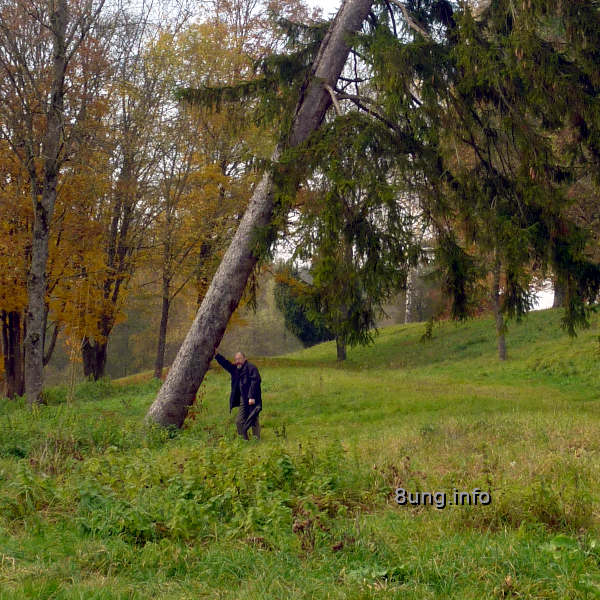 Natur & Wetter