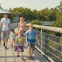 ❢ Demnächst auf 8ung.info: Baumkronenpfad – wandeln in Baumwipfeln