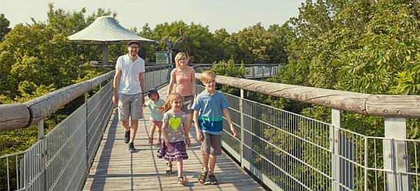 Besucher auf dem Baumkronenpfad