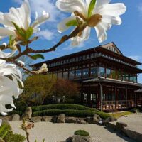 ❢ Demnächst auf 8ung.info: Japanischer Garten in Bad Langensalza