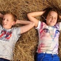 ❢ Naturfilm: „Ceres“ – wer wird Hofnachfolger?
