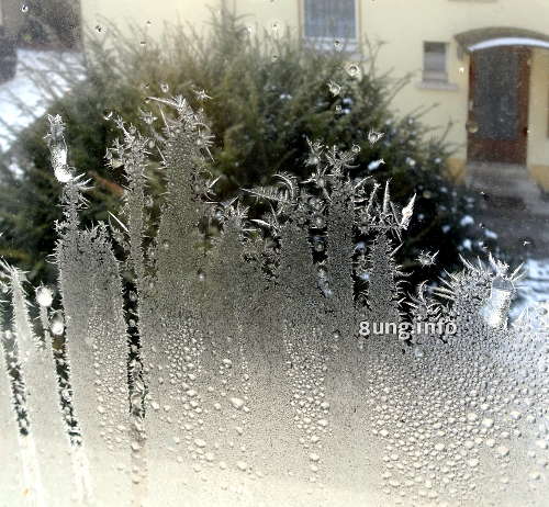 Eisblumen auf dem Fenster