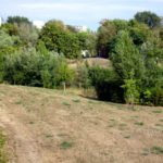 Landschaft mit trockenen Wiesen und Wald