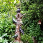 Keramikvögel am Baumstamm