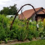 Bögen aus Zweigen rahmen den Nutzgarten ein