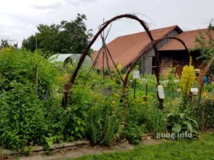 Bögen aus Zweigen rahmen den Nutzgarten ein
