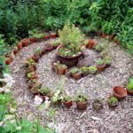 Blumentopf-Labyrinth mit Semperviven