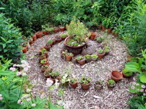 Blumentopf-Labyrinth mit Semperviven