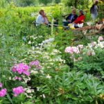 Sitzplatz mitten im Garten