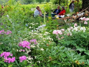 Sitzplatz mitten im Garten