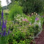 Blumenrabatte mit Hackschnitzelweg